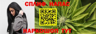гашик Будённовск