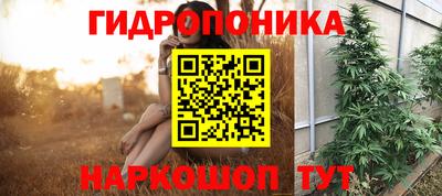 гашик Будённовск